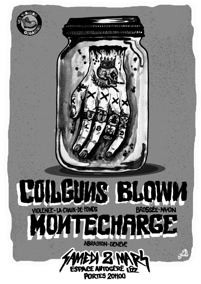 blown coilguns montecharge espace autogere lausanne 02.03.13